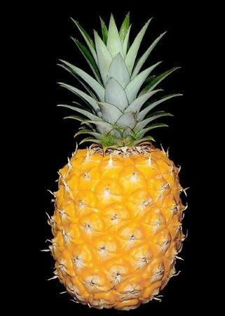 Avoid Pineapple During Pregnancy